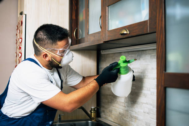 Best Flea Control Services  in Parsippany, NJ