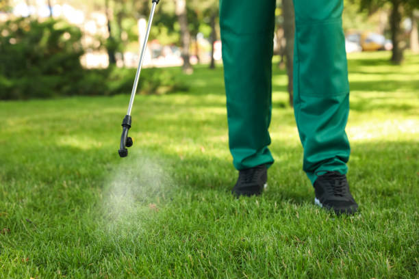 Best Ant Control Services  in Parsippany, NJ