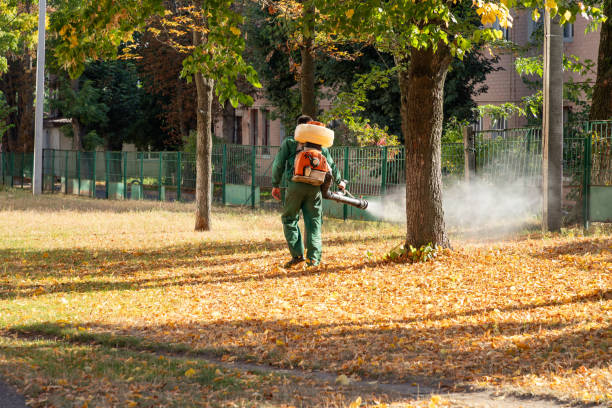 Best Rat Extermination Near Me  in Parsippany, NJ