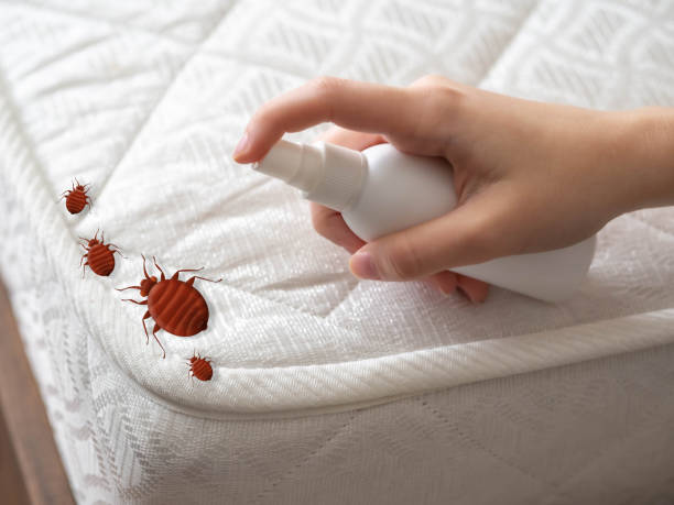 Best Pest Inspection Near Me  in Parsippany, NJ