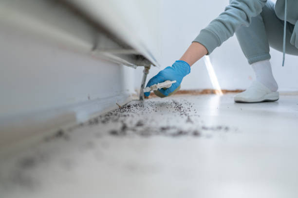 Bird Control in Parsippany, NJ